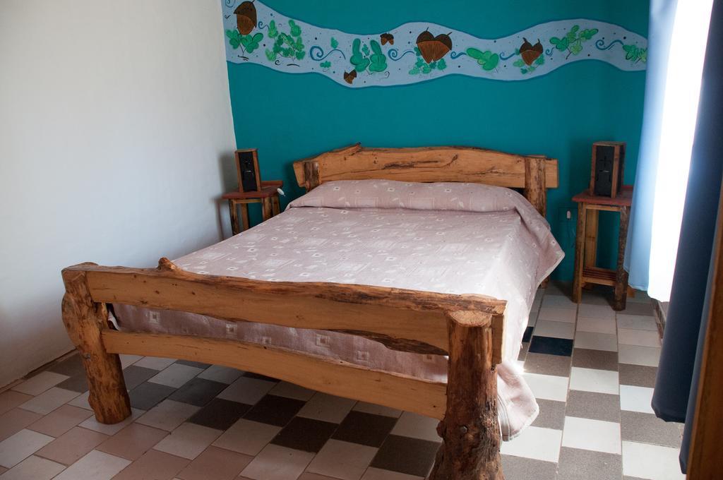 Hosteria Rural Viejo Roble Сан-Рафаель Номер фото